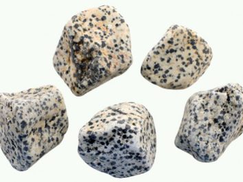 Jaspis dalmatyńczyk - kamień naturalny, surowy, nieszlifowany. Pięć kawałków jaspisu z czarnymi plamkami na białym tle.