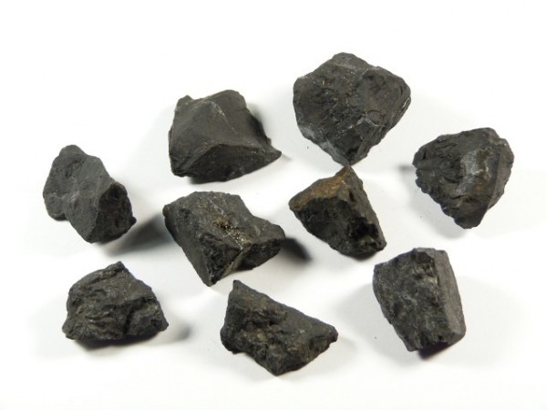 Osiem czarnych bryłek węgla na białym tle.