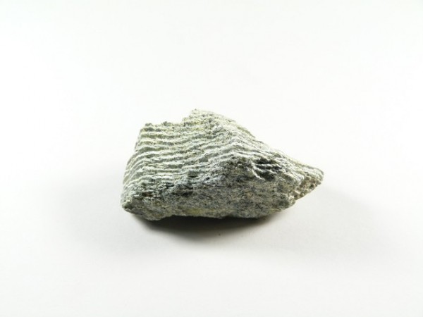 Szary kawałek skały o wyraźnej, warstwowej strukturze na białym tle.