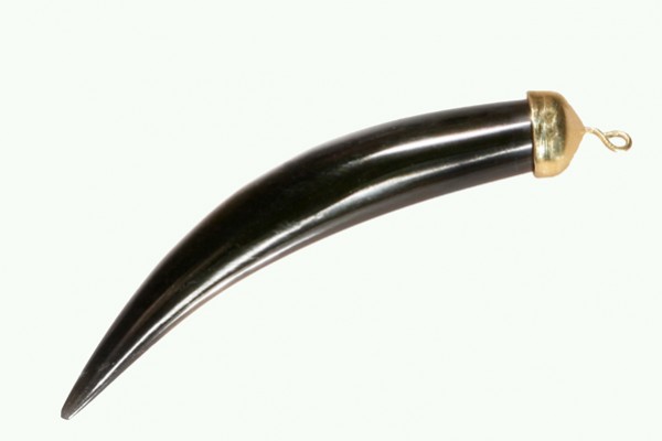 Czarny wisiorek w kształcie kła ze złotą ozdobą na końcu, na białym tle.