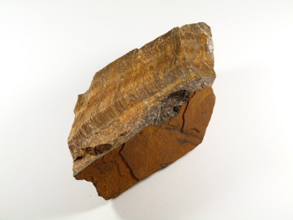 Duży kawałek brązowej skały z wyraźnie widocznymi warstwami, leżący na białym tle.