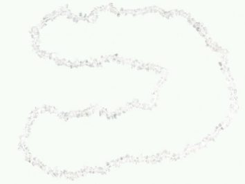 Naszyjnik z przezroczystych, drobnych kamieni ułożony na białym tle.