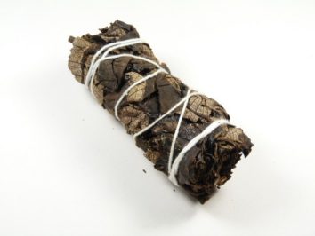 Zwój suszonych liści owinięty białym sznurkiem na białym tle.