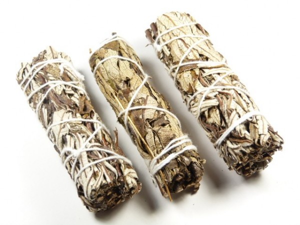 Trzy zwinięte pęczki suszonej białej szałwii owinięte białym sznurkiem, na białym tle.