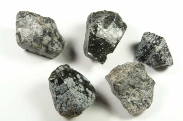 Pięć surowych, szaro-czarnych kamieni o niejednolitej strukturze na białym tle.
