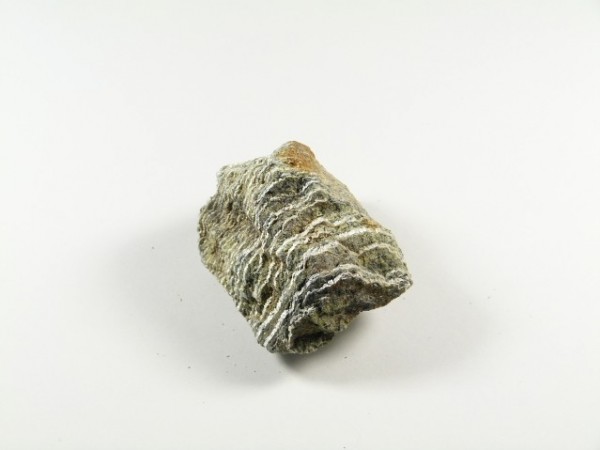 Szary kawałek minerału z wyraźnymi białymi żyłkami na jasnym tle.