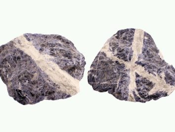 Dwa szaro-fioletowe kamienie z jasnymi, krzyżującymi się żyłami minerału.