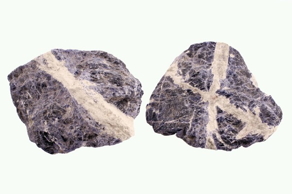 Dwa szaro-fioletowe kamienie z jasnymi, krzyżującymi się żyłami minerału.