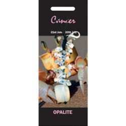 Zawieszka z opalitu na tle kraba, opis: "Opalite", znak zodiaku Rak.