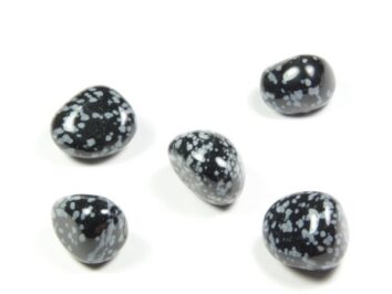 Obsydian śnieżny - kamień gładzony, polerowany, szlifowany i bębnowany w formie otoczaka. Pięć kamieni polerowanych czarnych w białe ciapki na białym tle.