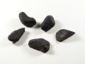 Szungit - kamień naturalny, surowy, nieszlifowany. Pięć czarnych kamieni leży na białym tle.