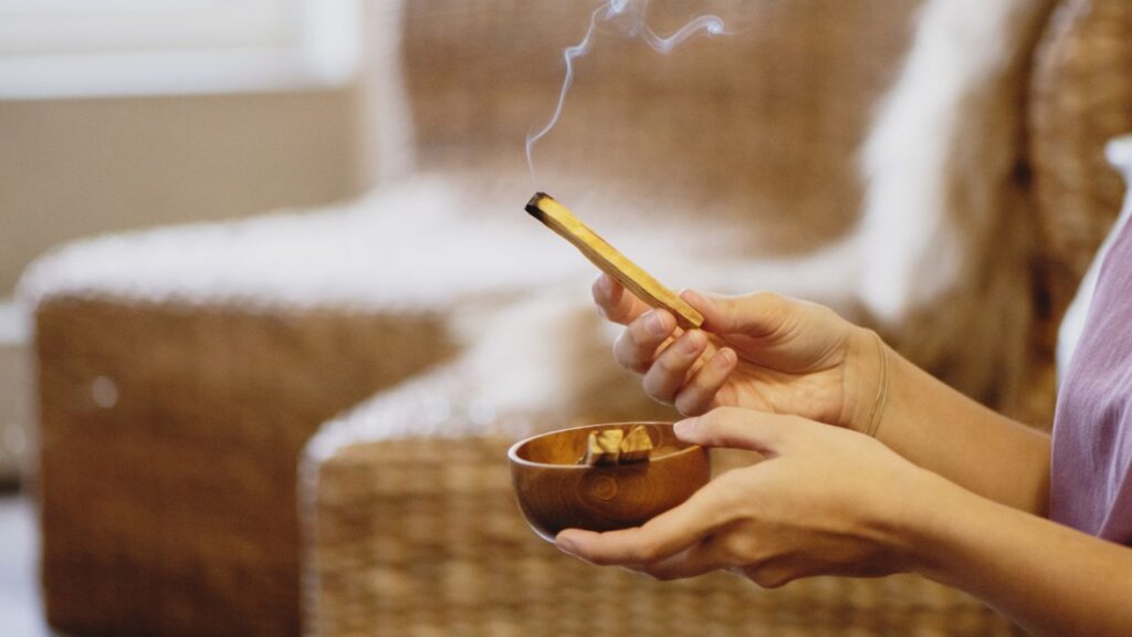 Święte drzewo posiada wiele właściwości leczniczych