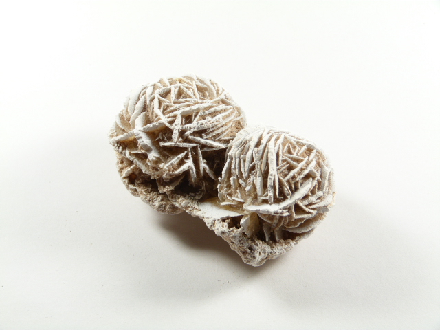 Dwa kryształy róży pustyni na białym tle.