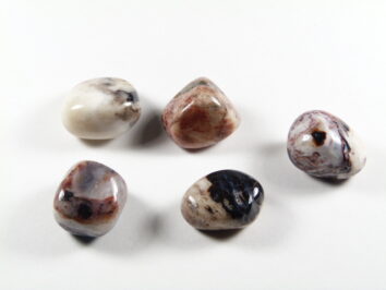 Sardoniks/ sardonyks - kamień gładzony, polerowany, szlifowany i bębnowany w formie otoczaka. Pięć gładkich, polerowanych kamieni o różnych kolorach na białym tle. sardoniks kamień w odcieniach brązu i bieli, polerowany minerał szczęścia i harmonii.