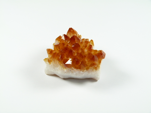 Cytryn szczotka kamień