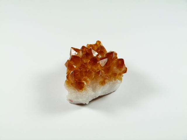 Cytryn szczotka kamień