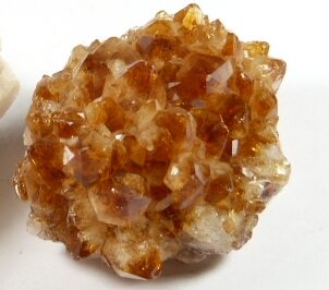szczotka cytryn naturalny
